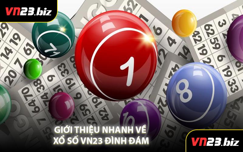 Giới Thiệu Nhanh Về Xổ Số VN23 Đình Đám