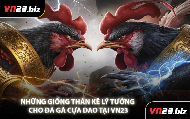 Những Giống Thần Kê Lý Tưởng Cho Đá Gà Cựa Dao Tại VN23