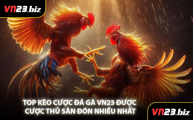 Top Kèo Cược Đá Gà VN23 Được Cược Thủ Săn Đón Nhiều Nhất