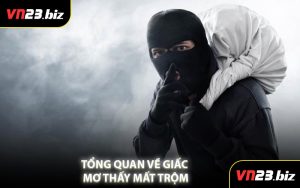 Tổng Quan Về Giấc Mơ Thấy Mất Trộm