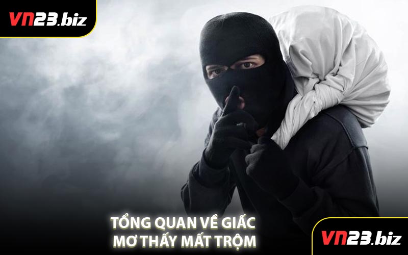 Tổng Quan Về Giấc Mơ Thấy Mất Trộm