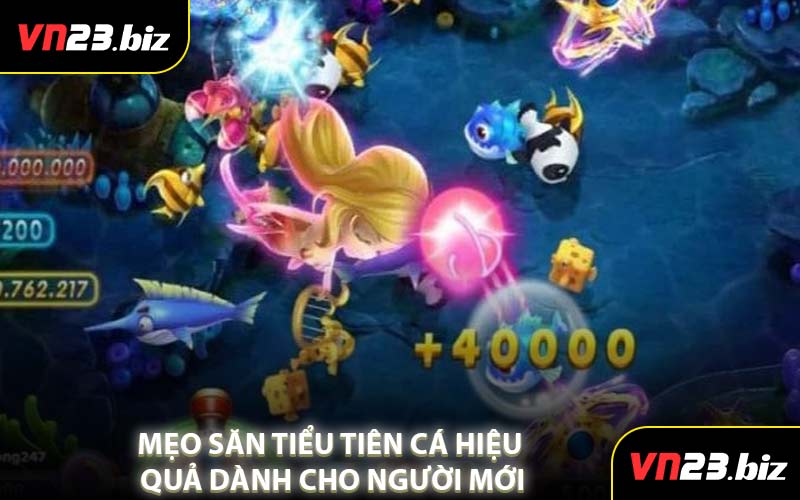 Mẹo Săn Tiểu Tiên Cá Hiệu Quả Dành Cho Người Mới